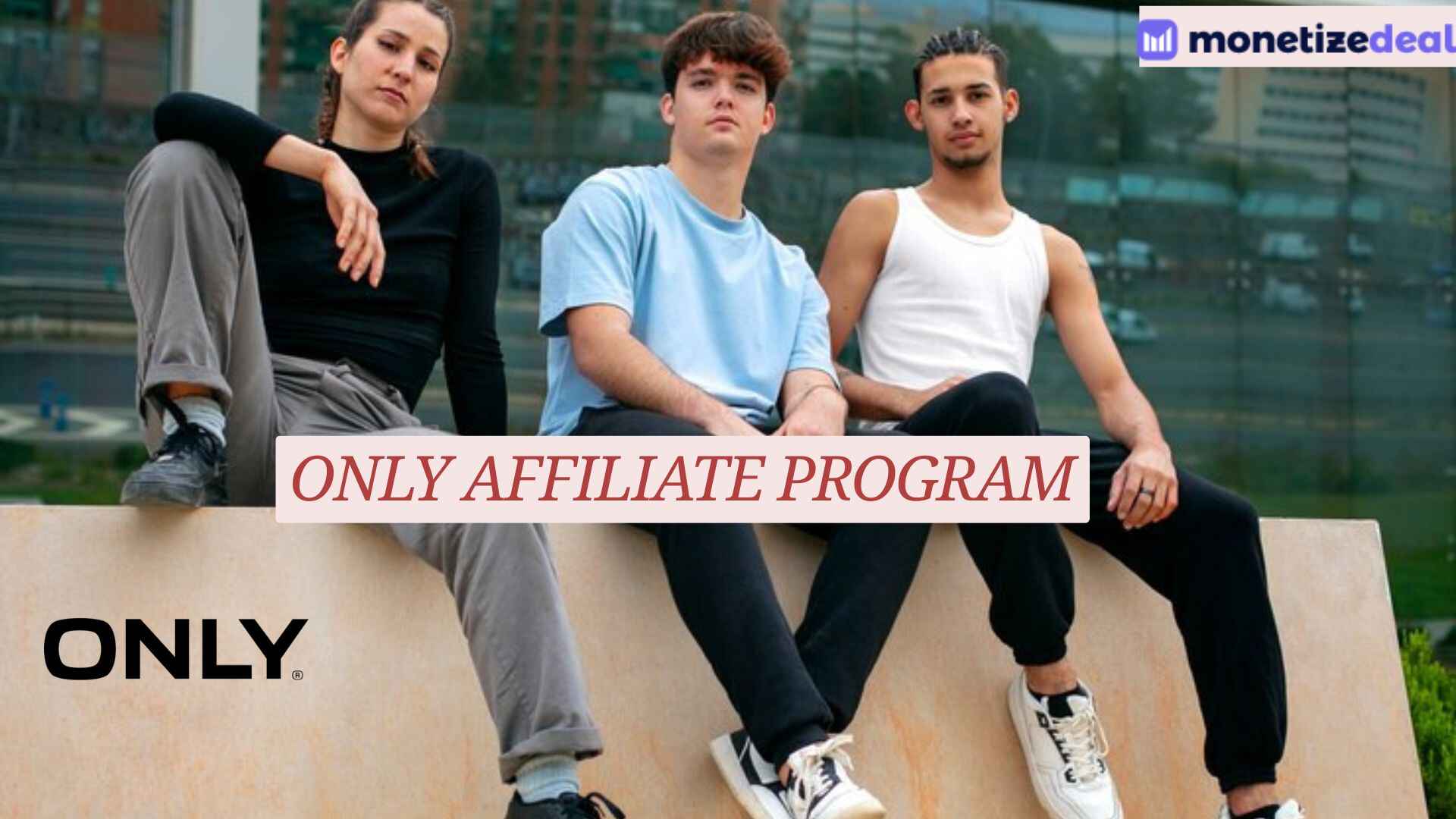 Only affiliate program